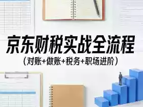 京东财税实战全流程(对账+做账+税务+职场进阶)