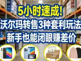 5小时速成!沃尔玛转售3种套利玩法,新手也能闭眼賺差价