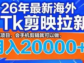 2026年最新海外Tk剪映拉新,蓝海项目,会手机剪辑就可以做,月入2W+【揭秘】