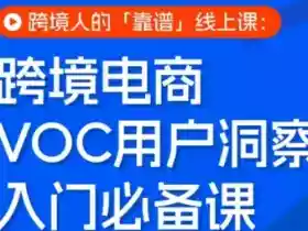 跨境电商VOC用户洞察入门必备课,跨境人的靠谱线上课
