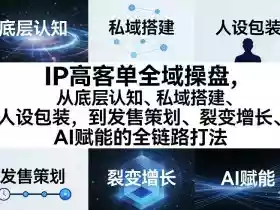IP高客单全域操盘,从底层认知、私域搭建、人设包装,到发售策划、裂变增长、AI赋能的全链路打法