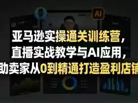 亚马逊实操通关训练营，直播实战教学与AI应用，助卖家从0到精通打造盈利店铺（更新5月8日）