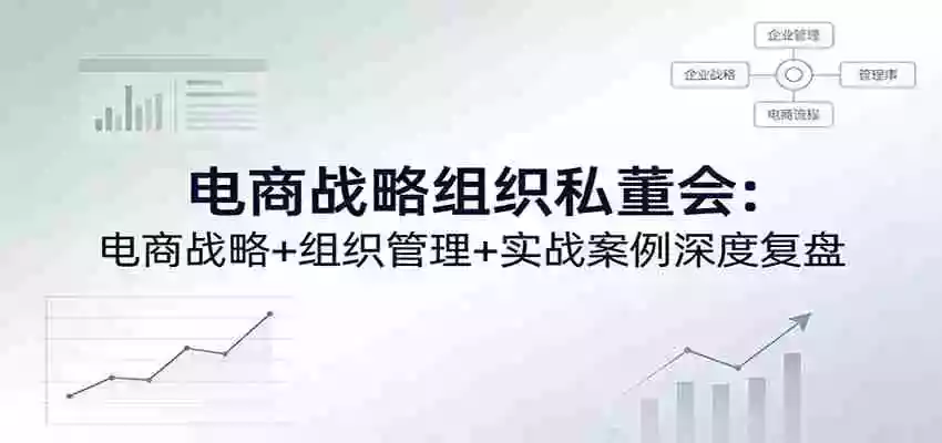 电商战略组织私董会:电商战略+组织管理+实战案例深度复盘