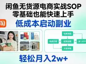 闲鱼无货源电商实战SOP，零基础也能快速上手，低成本启动副业，轻松月入2w+