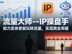 流量大师—IP操盘手,助力实体老板玩转流量,实现商业突破