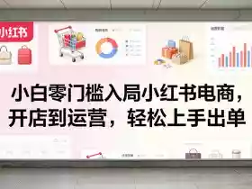 小白零门槛入局小红书电商,开店到运营,轻松上手出单