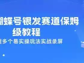 26年蝴蝶号银发赛道保姆级教程,全流程多个易实操玩法实战录屏