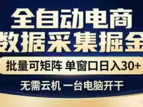 独家电商数据全自动采集项目,批量可矩阵,单窗口轻松日入3张+【揭秘】