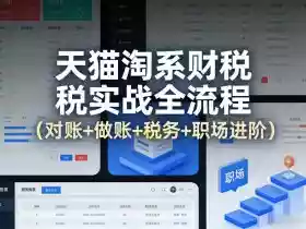 天猫淘系财税实战全流程(对账+做账+税务+职场进阶)