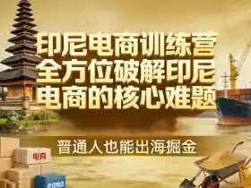 印尼电商训练营,全方位破解印尼电商的核心难题,普通人也能出海掘金