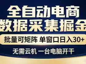 全自动电商数据集掘金,批量可矩阵,单窗口日入30+,无需云机,一台电脑开干【揭秘】