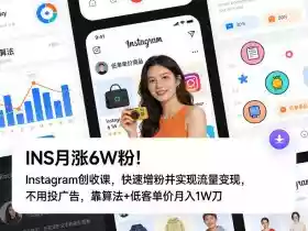 INS月涨6W粉!Instagram创收课,快速增粉并实现流量变现,不用用投广告,靠算法+低客单价月入1W刀