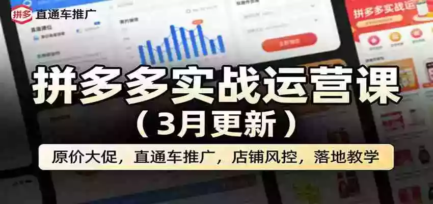 拼多多实战运营课(3月更新):原价大促,直通车推广,店铺风控,落地教学
