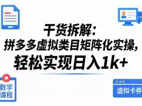 干货拆解:拼多多虚拟类目矩阵化实操,轻松实现日入1k+