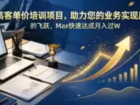 高客单价培训项目,助力您的业务实现质的飞跃,Max快速达成月入过W【原创双语字幕】