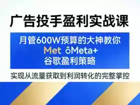 广告投手盈利实战课,月管600W预算的大神教你Meta+谷歌盈利策略,实现从流量获取到利润转化的完整掌控
