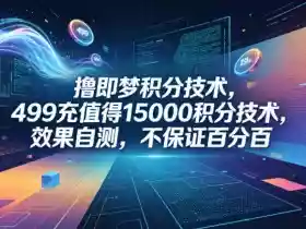 撸即梦积分技术,499充值得15000积分技术,效果自测,不保证百分百