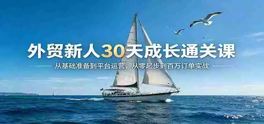 外贸新人30天成长通关课:从基础准备到平台运营,从零起步到百万订单实战