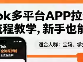 TikTok多平台APP拉新,完整流程教学,新手也能上手,轻松出海搞美金
