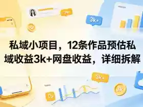 私域小项目，12条作品预估私域收益3k+网盘收益，详细拆解