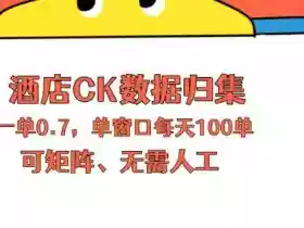 上班也能玩的酒店CK数据归集,一单0.7单窗口每天可做100单,一个人就能矩阵操作【揭秘】