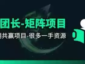 【团长合作】视频矩阵项目_招发手矩阵+剪辑师，共赢项目【揭秘】