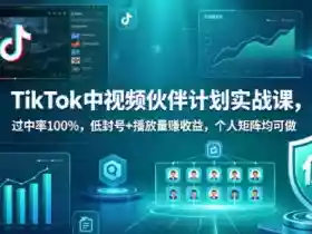 TikTok中视频伙伴计划实战课,过中率100%,低封号+播放量賺收益,个人矩阵均可做