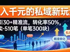 日入千米的私域新玩法：日引30＋精准流，转化率50%，日卖5-10笔（单笔300米）