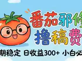 番茄撸金术：日入300+稳如泰山！独家玩法曝光，操作门槛极低，无需经验，小白闭眼上车【揭秘】