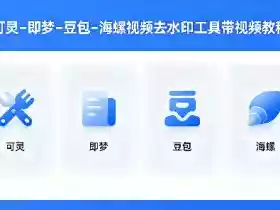 可灵–即梦–豆包–海螺视频去水印工具带视频教程