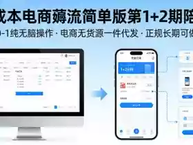 0成本电商薅流简单版第1+2期陪跑,0-1纯无脑操作,电商无货源一件代发,正规长期可做