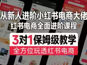 从新人进阶小红书电商大佬，红书电商全面进阶课程，3对1保姆级教学，全方位玩透红书电商