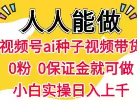 视频号AI种子带货,0粉0保证金就可做,人人能做,实操日入1k+