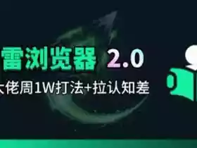 迅雷浏览器项目2.0_拆个大佬周1W的打法