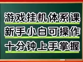从0上手掌握游戏挂G全流程,新手小白当天上手当天出收益,一对一辅导【揭秘】