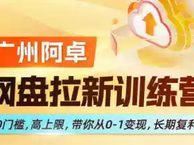 网盘拉新训练营，0门槛，高上限，带你从0-1变现，长期复利