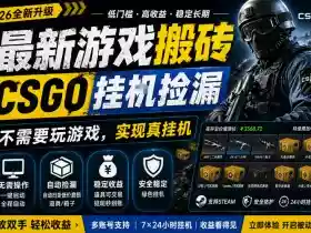 最新游戏搬砖，CSGO纯挂G，不需要玩游戏，实现真挂G，月入1W+，五一小高峰上车可吃肉，手机即可操作【揭秘】
