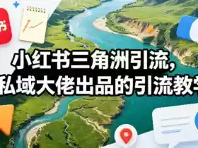 小红书三角洲引流，某私域大佬出品的引流教学