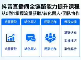 抖音直播间浓缩版视频课程,从0到1掌握直播间流量获取、转化留人、团队协作的全链路能力