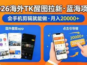 图出海拉新,全网火爆风口项目,只要会简单手机剪辑,轻松上手,当天见收益,日入四位数【揭秘】