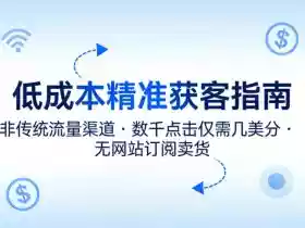 低成本精准获客指南,用非传统流量渠道,实现数千点击仅需几美分,不用网站也能搞订阅卖货