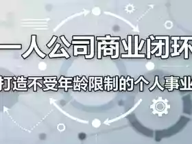 一人公司商业闭环,打造一份不受年龄限制的个人事业