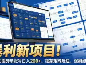 暴利新项目!全自动搬砖单账号日入200+,独家矩阵玩法,保姆级操作【揭秘】