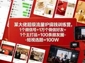某大佬超级流量IP搞钱训练营,1个微信号+1万个微信好友+1个主打品+100条朋友圈-短视选题=100W