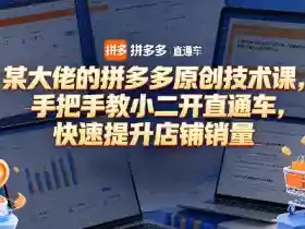 某大佬的拼多多原创技术课,手把手教小二开直通车,快速提升店铺销量