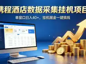 携程酒店全自动浏览掘金项目,稳定可矩阵单窗口收益40+,可批量矩阵放大收益【揭秘】