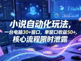 小说挂G自动化玩法,一台电脑30+窗口,单窗口收益50+,核心流程限时泄露【揭秘】