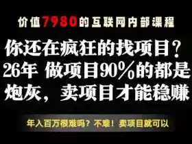 26年请不要疯狂的找项目了,卖项目远比你想象的暴利,你也可以月入10W+【揭秘】