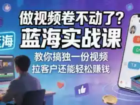 做视频卷不动了?蓝海实战课教你搞独一份视频,拉客户还能轻松賺钱!【原创双语字幕】