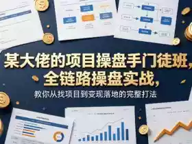 某大佬的项目操盘手门徒班，全链路操盘实战，教你从找项目到变现落地的完整打法